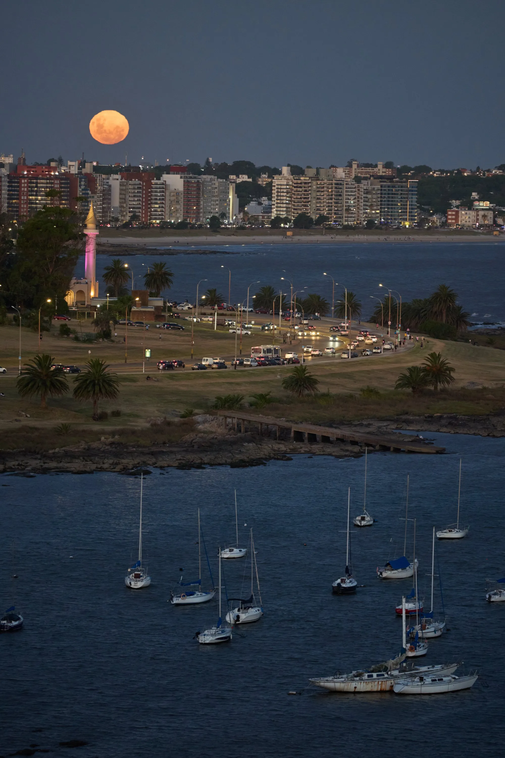 2025_01_Rambla_0916.JPG
