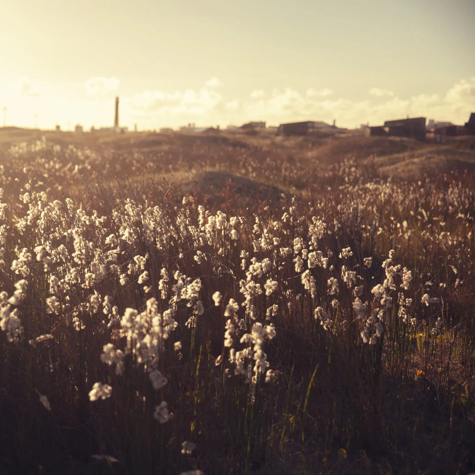 paisaje_amanecer_4337.jpg